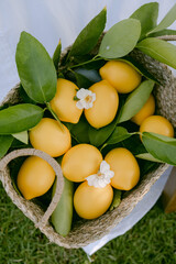 lemons in a basket