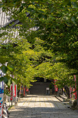 紀三井寺　本堂	