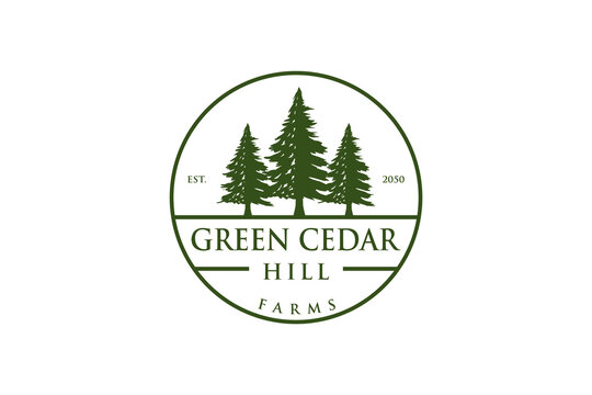 Green cedar pine tree logo nature organic environment icon symbol rounded shape illustration