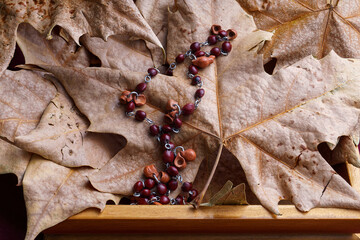 autumnal image, rustic necklace on dry leaves background