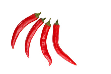 Four hot red peppers on the isolated background