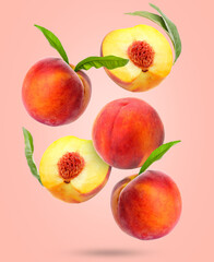 Flying ripe peaches on pink background