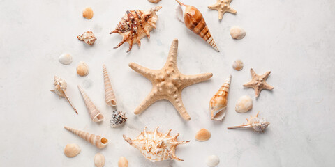 Fototapeta na wymiar Different sea shells with starfishes on light background