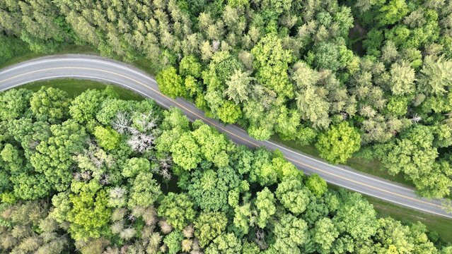 Drone image of winding road though heavy forest