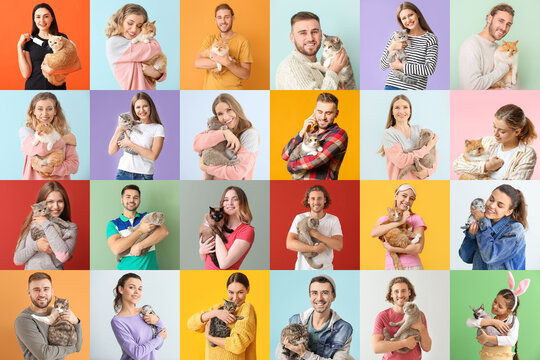 Set of people with funny cats on color background