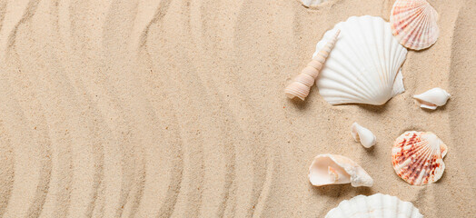 Different sea shells on beach sand. Banner for design