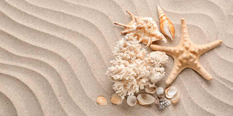 Fototapeta na wymiar Different sea shells and starfish on beach sand. Banner for design