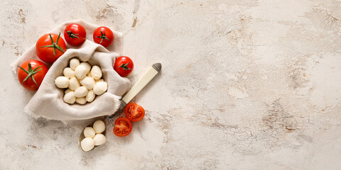 Tasty mozzarella cheese and tomatoes on light background with space for text