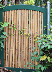 bamboo door 