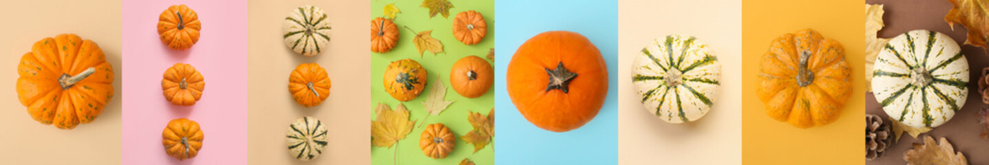 Collection of fresh pumpkins with autumn leaves on color background, top view - obrazy, fototapety, plakaty