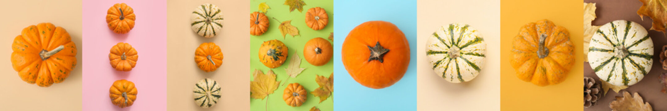 Collection of fresh pumpkins with autumn leaves on color background, top view