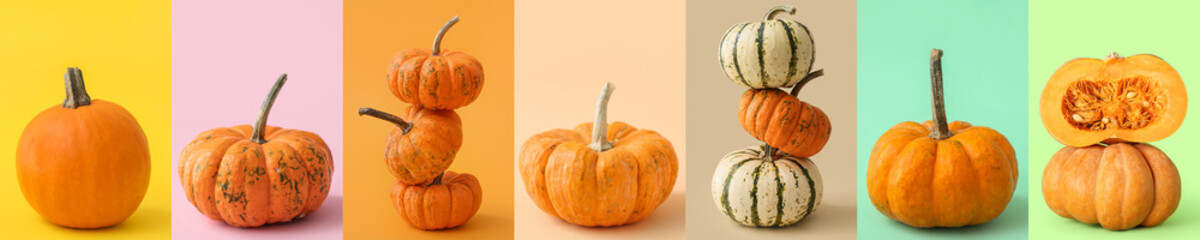 Collage of raw pumpkins on color background