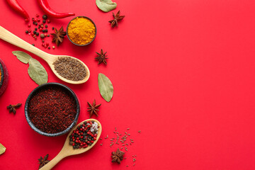 Composition with aromatic spices on red background