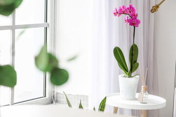 Beautiful orchid flower and reed diffuser on table in light room