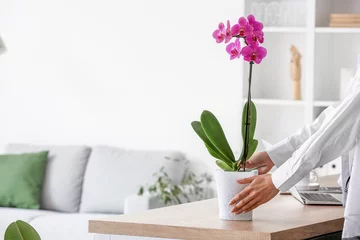 Fotobehang Woman and beautiful orchid flower on table in light living room © Pixel-Shot