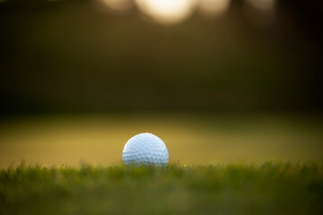 Golf ball on the green grass of a golf course in sunlight. Close-up.

