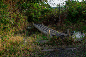Fototapeta premium wooden bridge over the river, Florianópolis, Brasil