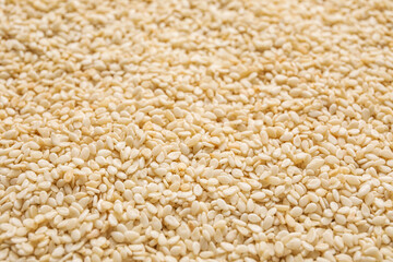 Sesame seeds as background, closeup