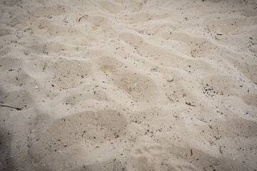 Close-up photo of the white sand, Close up shot of the white sand and some shells as a texture.