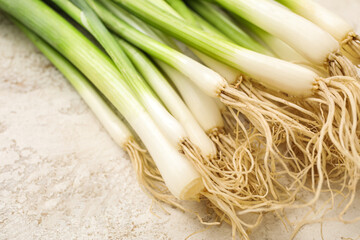 Fresh green onion on light background, closeup