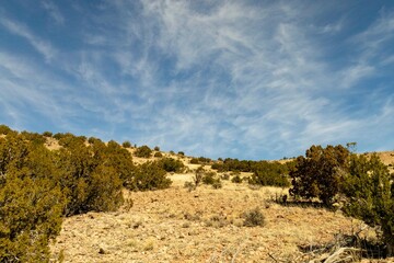 Fototapeta na wymiar Continental Divide Trail Deadman's Peak