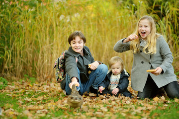 Fototapeta premium Cute toddler boy and his two older sisters feeding ducks on autumn day. Children feeding birds outdoors.