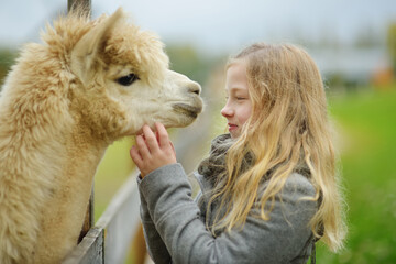 Cute young girl stroking an alpaca at a farm zoo on autumn day. Child feeding a llama on an animal farm. Kid at a petting zoo at fall. - obrazy, fototapety, plakaty