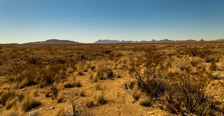 Big Bend National Park