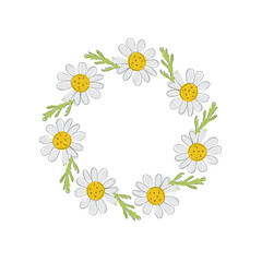 Chamomile wreath isolated on white background. Chamomile flowers, hand-drawn illustration.