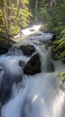 waterfall in the forest