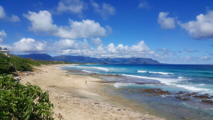 Fototapeta na wymiar view of the beach, O'ahu, Hawaii