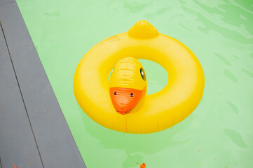 Plastic duck doll It floats on the water in the pool.