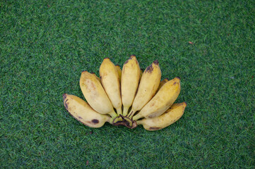 Several yellow bananas lay on the grass.