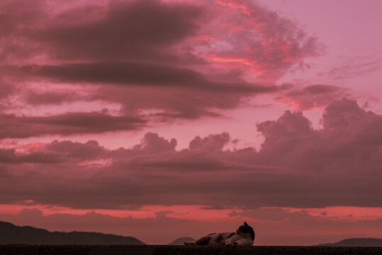 「雲り」の画像 - 5,672 件の Stock 写真、ベクターおよびビデオ | Adobe Stock