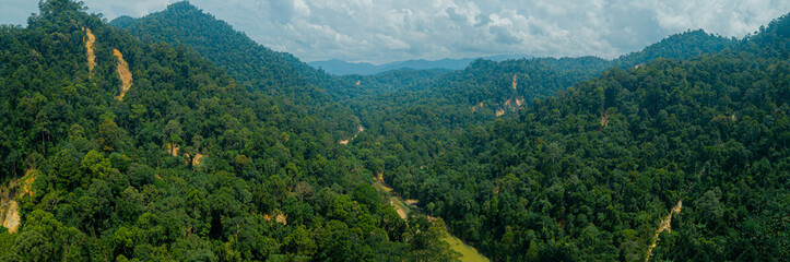 Fototapeta na wymiar Panoramic aerial drone view of forest scenery in Hutan Lipur Belukar Bukit, Kuala Berang, Terengganu, Malaysia.