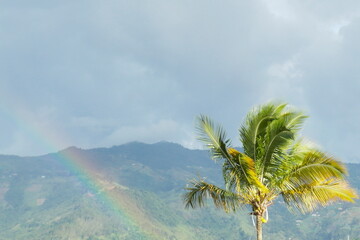 Fototapeta na wymiar A rainbow next to a palm tree between mountains