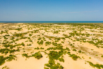 Desert landscape with vegetation and bushes. Manalkaadu Sand Hills. Sri Lanka.