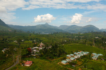 Aerial drone of Tea estate in Sri Lanka. High mountain tea plantation.