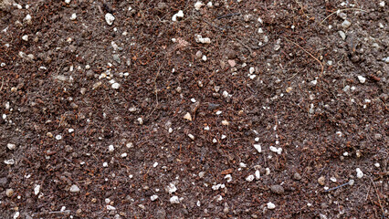 Potting soil mix texture background
