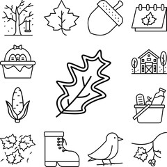 Fototapeta premium Leaf icon in a collection with other items