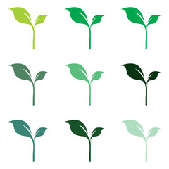 Green leaf logo template icon leaf vector image