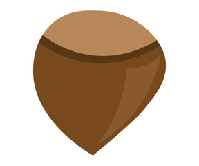 plant autumn fruit from tree hazelnut