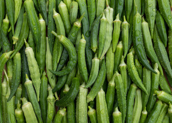 Fresh green okra vegetable display for sale in the market place - obrazy, fototapety, plakaty