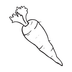 carrot sketch vector illustration
