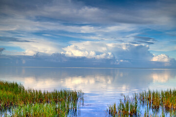 Landscape of sea, lake or lagoon against sky background with clouds and copy space. Gulf with reeds and wild grass growing on empty coast outside. Peaceful, calm and beautiful scenic view in nature