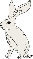 Liebre de Tehuantepec