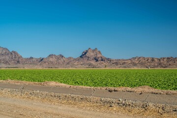 An overlooking view of nature in Yuma, Arizona