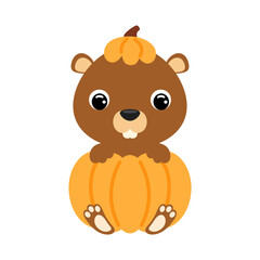 Obraz na płótnie Canvas Cute little beaver sitting in a pumpkin. Cartoon animal character for kids t-shirts, nursery decoration, baby shower, greeting card, invitation. Vector stock illustration