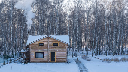 A two-storey log house on the edge of a birch grove. A column of smoke rises from the chimney above the roof. A dog is sitting on a plank path. Snow all around. Altai