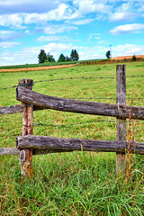 Beautiful, natural green farm field with grass growing around a barbed wire wooden fence. The landscape of pasture or meadow with a barrier on a summer day and a cloudy blue sky